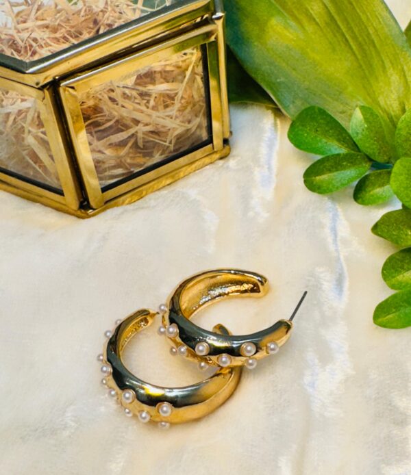 HOOPS Earrings