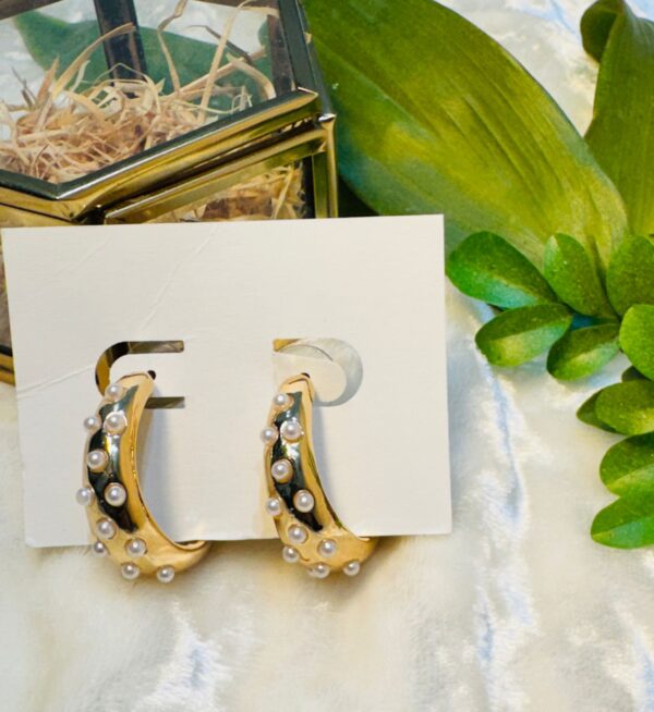 HOOPS Earrings - Image 2