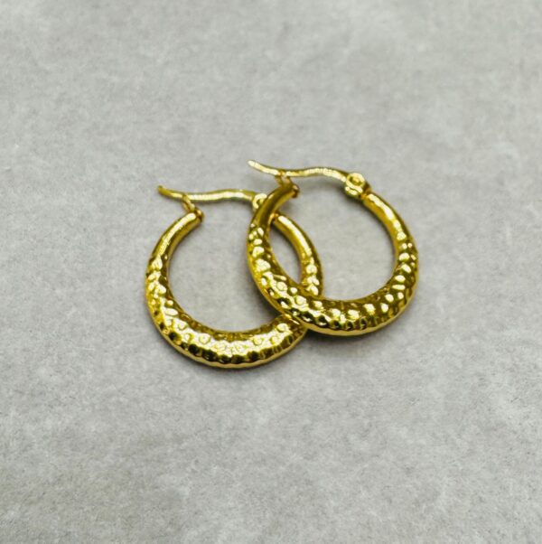HOOPS - Image 2